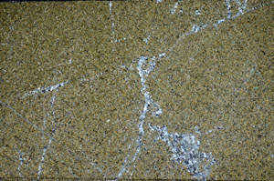 Cross Polarized, S83403