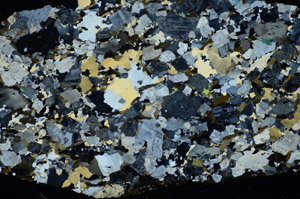 Cross Polarized, S83478