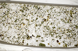 Plane Polarized, S83526