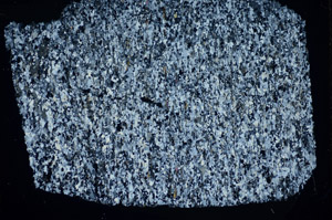 Cross Polarized, S83597