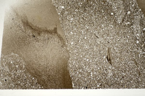 Plane Polarized, S83616