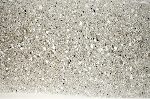 Plane Polarized, S83635