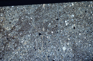 Cross Polarized, S83663