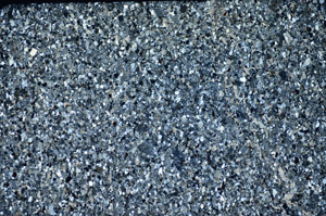 Cross Polarized, S83665