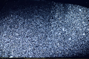 Cross Polarized, S83682