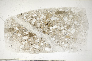 Plane Polarized, S83717