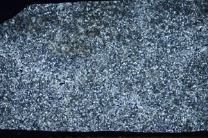 Cross Polarized, S83738