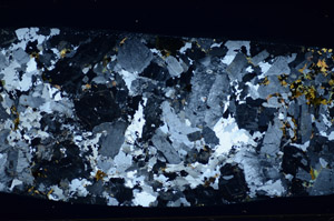 Cross Polarized, S83810