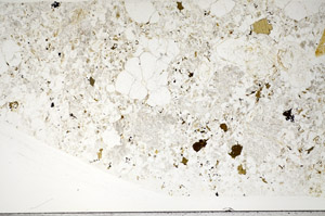 Plane Polarized, S83856