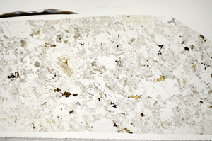 Plane Polarized, S83866