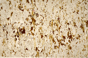 Plane Polarized, S83877