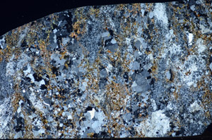 Cross Polarized, S83927/A