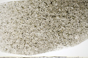 Plane Polarized, S83966