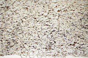 Plane Polarized, S84030