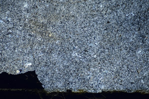 Cross Polarized, S84037