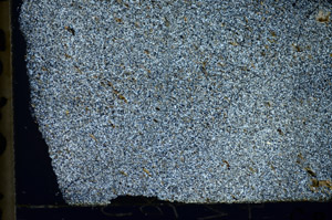 Cross Polarized, S84039