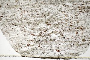 Plane Polarized, S84042