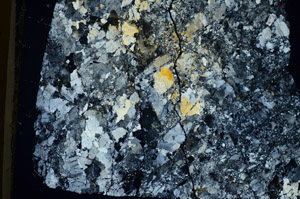 Cross Polarized, S84044
