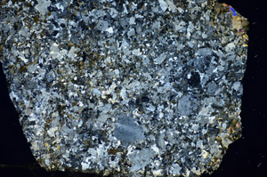 Cross Polarized, S84047