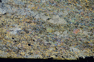 Cross Polarized, S84078