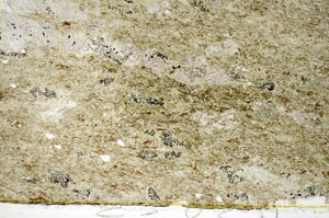 Plane Polarized, S84078