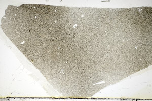 Plane Polarized, S84080