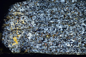 Cross Polarized, S84081