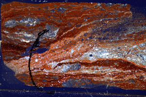 Cross Polarized, S84082