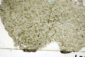 Plane Polarized, S84084