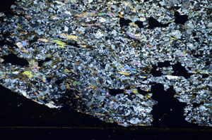 Cross Polarized, S84085