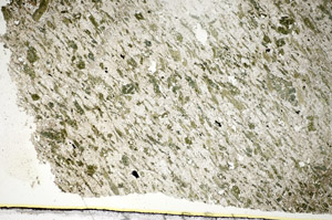 Plane Polarized, S84086