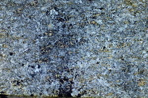 Cross Polarized, S84087