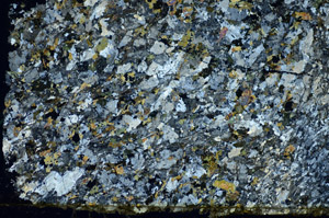 Cross Polarized, S84088