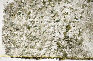 Plane Polarized, S84088