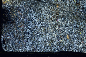 Cross Polarized, S84089