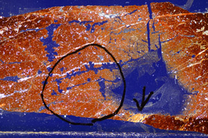 Cross Polarized, S84090