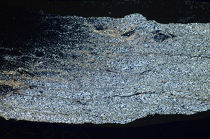 Cross Polarized, S84093