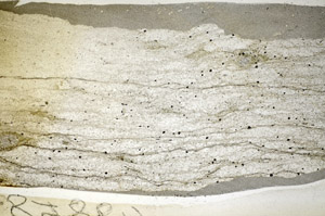 Plane Polarized, S84093