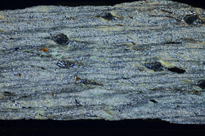 Cross Polarized, S84108