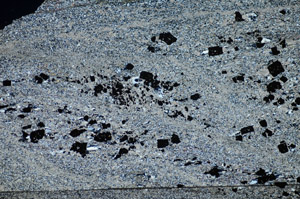 Cross Polarized, S84109