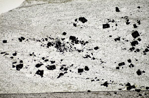 Plane Polarized, S84109