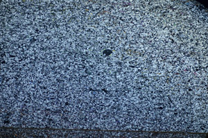 Cross Polarized, S84110