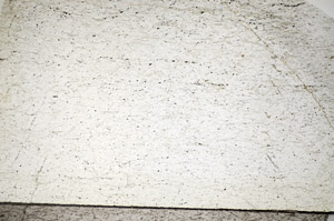 Plane Polarized, S84110