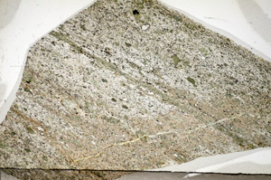 Plane Polarized, S84111