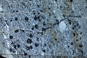 Cross Polarized, S84112