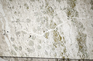 Plane Polarized, S84112