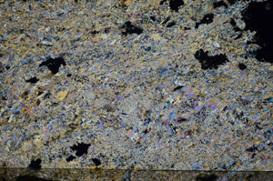 Cross Polarized, S84115