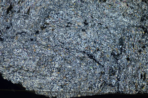 Cross Polarized, S84116