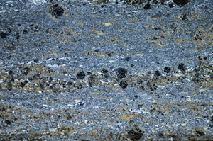 Cross Polarized, S84117