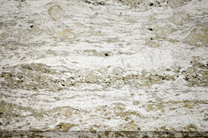 Plane Polarized, S84117